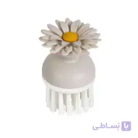 برس میوه شور
