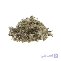 چای کوهی