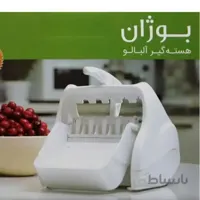 هسته گیر آلبالو بوژان
