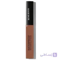 رژ لب مایع رمی رز مدل Paint Matte شماره 506 ا REMI.ROOS Waterprof Paint Matte Lip Gloss 506