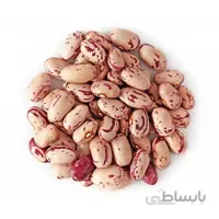 بذر لوبیا چیتی