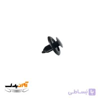 خار نری رودری ساینا و کوییک