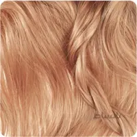 رنگ مو تیوپی بیول گروه کاپوچینو حجم ۱۰۰ میل Biol