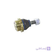 سیبک طبق دنا