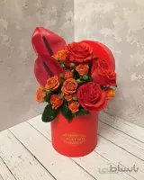 باکس رز قرمز و آنترویوم