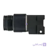 کلگی تفنگ میخکوب