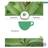 دمنوش گیاهی سالویا – اُفیسینالیس(درمان زخم معده ،ضد تعریق) ا Organic Medicainal Plant of Salvia officinalis
