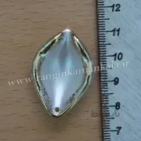 رز وحشی متوسط لب طلا