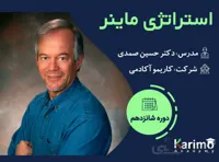 استراتژی ماینر