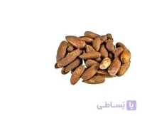 گیاه چلغوز