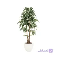 خرید اینترنتی بنجامین آمستل کینگ ( ارسال رایگان )