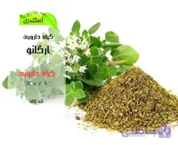 گیاه ارگانو