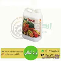 کود کورت کمپلکس