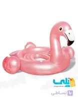 57297 جزیره پارتی فلامینگو