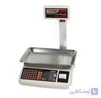 ترازوی وایرلس رادین مدل Plus 6700 ا Radin Digital Shopping WiFi Scale Plus 6700