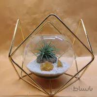 تیلادسیا با پایه چوبی