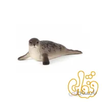 فوک آبی طوسی Grey Seal 387091