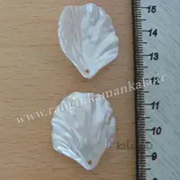 گلبرگ شقایق بزرگ صدفی