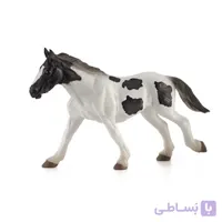 اسب تینکر جوان 387219 – حیوانات موجو