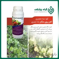 کود سه گانه کلات شده (روی ، آهن و منگنز) South Green یک لیتری