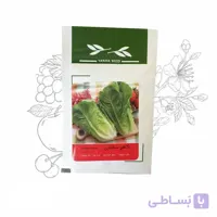 بذر خانگی کاهو سالادی آذر سبزینه