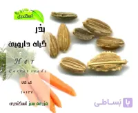 بذرهویچ