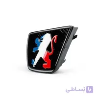 آرم جلو 405 فرانسه | زیمر