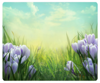 پوستر گل سه بعدی 057