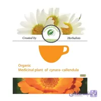 دمنوش گیاهی سینره – کالاندولا(درمان جوش،کهیر،اگزما) ا Organic Medicainal Plant of cynara - callendula