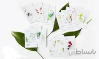 ماسک ورقه ای میوه ای اینیسفری 20ml کره ای