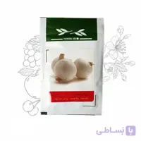 بذر خانگی پیاز سفید آذر سبزینه
