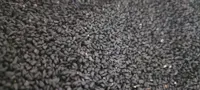 دانه سیاهدانه هندی روغن گیری