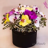 باکس گل ارکیده