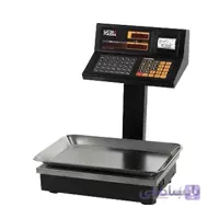 ترازوی رادین سیم کارتی ۴۰kg مدل ۸۸۰۰
