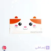 پاکت پول فانتزی گربه ملوس