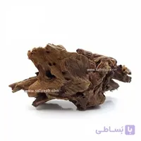 تنه چوب آبنوس اوشن فری