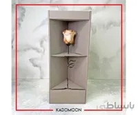 رز جاودان شامپاینی