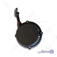 هندل علف زن 411