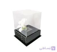 باکس رز جادودان مشبک