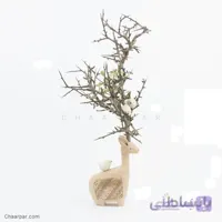 گوزن با شاخ طبیعی بزرگ و 3 پرنده