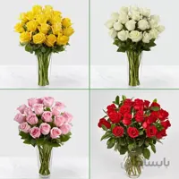 اشتراک گل رز هلندی