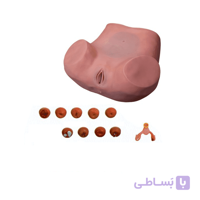 خرید، قیمت و مشخصات مولاژ مانکن معاینه زنان