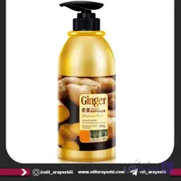 شامپو پمپی زنجبیل بیوآکوا کد bqy2430 | پخش عمده