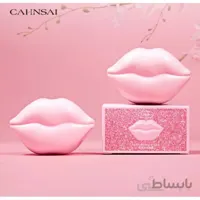 بالم لب کانسای - CHANSAI