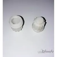 دنده پشت روده گرد لبه دار