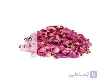 پر گل محمدی