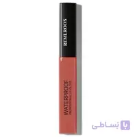 رژ لب مایع رمی رز شماره 521 ا REMI.ROOS Waterprof Paint Matte Lip Gloss 521