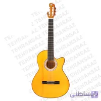 گیتار کلاسیک دیاموند کد 01