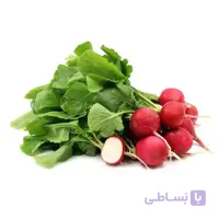 بذر تربچه نقلی