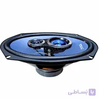 بلندگو تیاک مدل TEAC TE-S6935